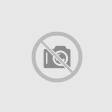 Own a fully-functional porfessional NFT website now